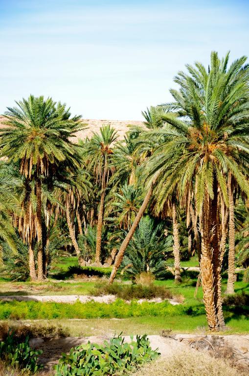 Dar Tozeur Hotel Exterior photo