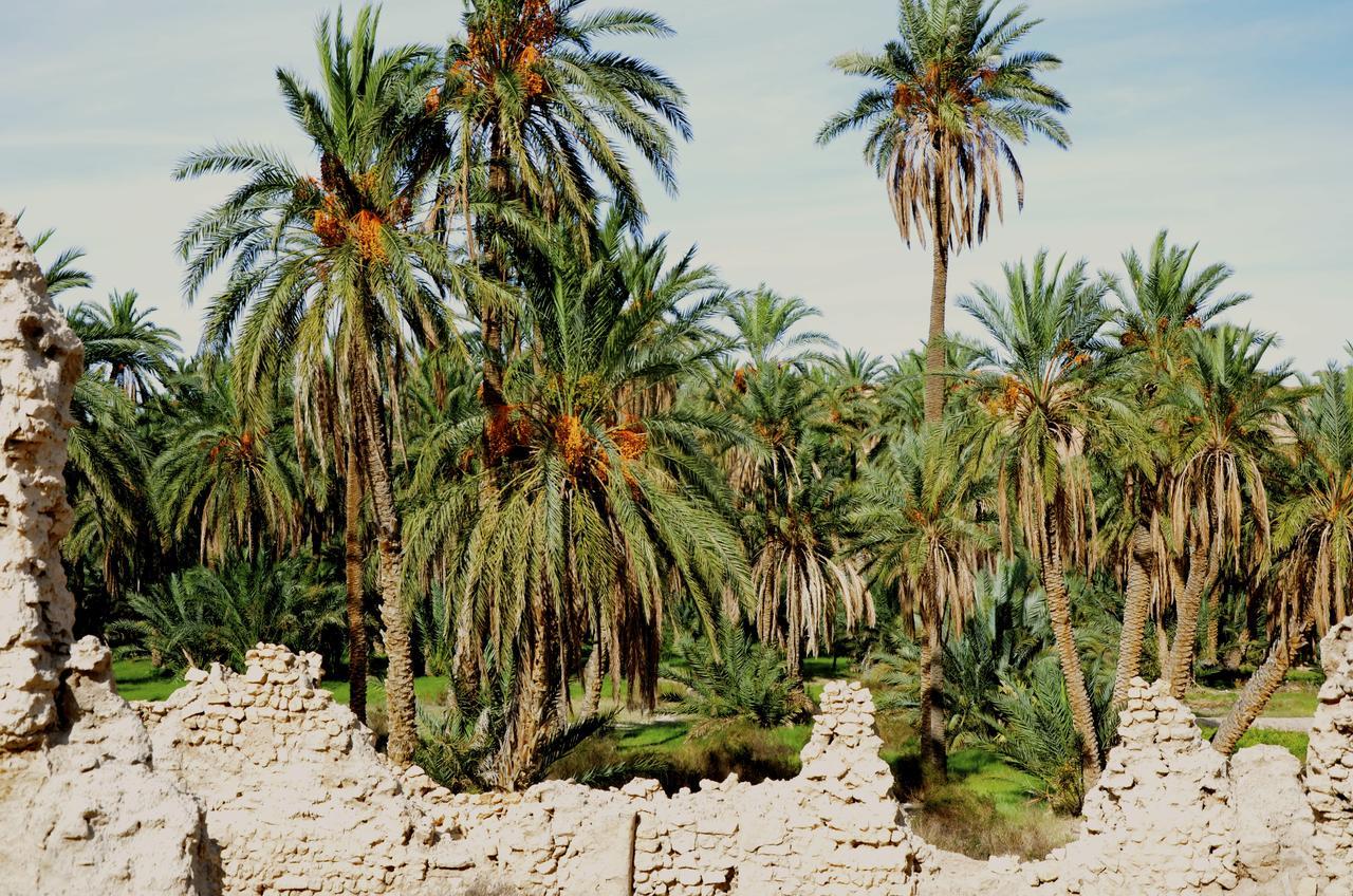 Dar Tozeur Hotel Exterior photo